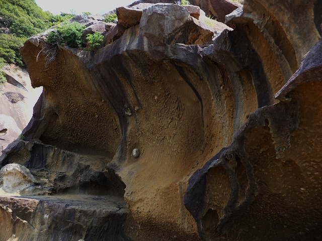 d0048350_202257.jpg