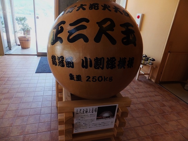 d0048350_202277.jpg