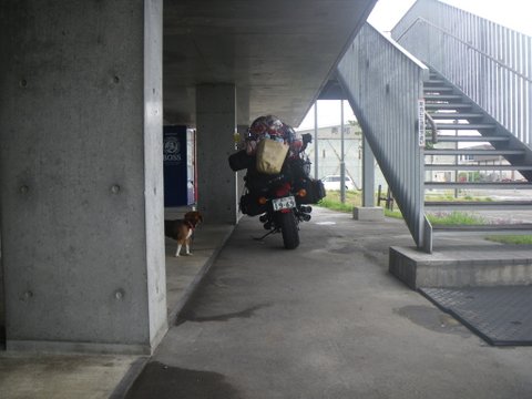 ワンデム２０１２夏〜０８０３金〜北海道札幌南香園近所の公園〜ｄａｙ１３_f0046250_3381740.jpg