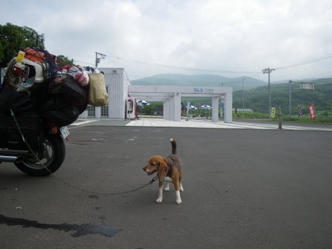 f0046250_340971.jpg