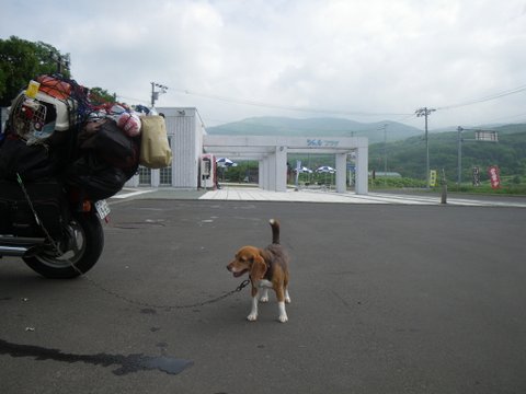 ワンデム２０１２夏〜０８０３金〜北海道札幌南香園近所の公園〜ｄａｙ１３_f0046250_340971.jpg