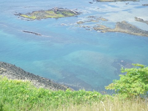 ワンデム２０１２夏〜０８０３金〜北海道札幌南香園近所の公園〜ｄａｙ１３_f0046250_4174383.jpg