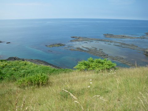 ワンデム２０１２夏〜０８０３金〜北海道札幌南香園近所の公園〜ｄａｙ１３_f0046250_4181111.jpg