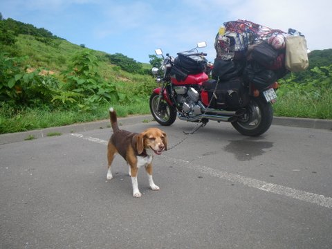 ワンデム２０１２夏〜０８０３金〜北海道札幌南香園近所の公園〜ｄａｙ１３_f0046250_425327.jpg