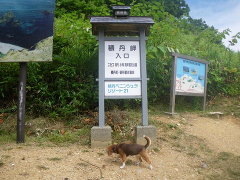 ワンデム２０１２夏〜０８０３金〜北海道札幌南香園近所の公園〜ｄａｙ１３_f0046250_4264583.jpg