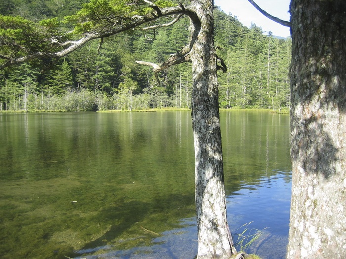 「明神池は神域につき、拝観料を頂きます。」_b0072051_23103627.jpg