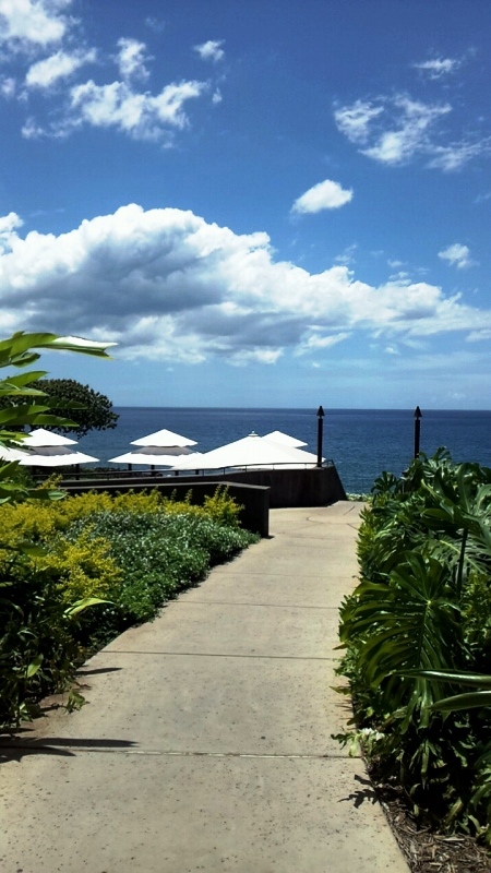 c0043751_16382310.jpg