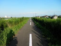仙台 亘理 自転車道路へ _e0140354_15483325.jpg