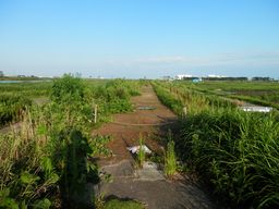 仙台 亘理 自転車道路へ _e0140354_15511652.jpg