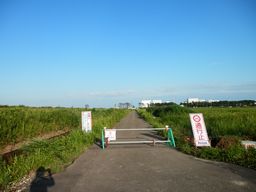 仙台 亘理 自転車道路へ _e0140354_15543083.jpg