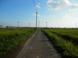 仙台 亘理 自転車道路へ _e0140354_1555549.jpg