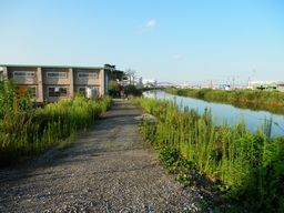 仙台 亘理 自転車道路へ _e0140354_15591993.jpg