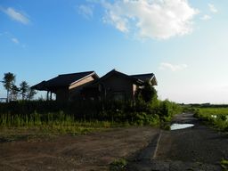 仙台 亘理 自転車道路へ _e0140354_162670.jpg