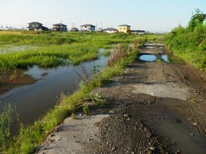 仙台 亘理 自転車道路へ _e0140354_1643325.jpg