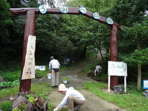 c0108460_1617760.jpg