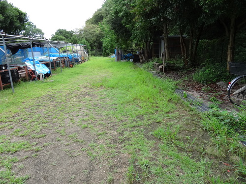 c0108460_16251070.jpg