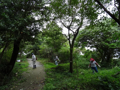 c0108460_1626275.jpg