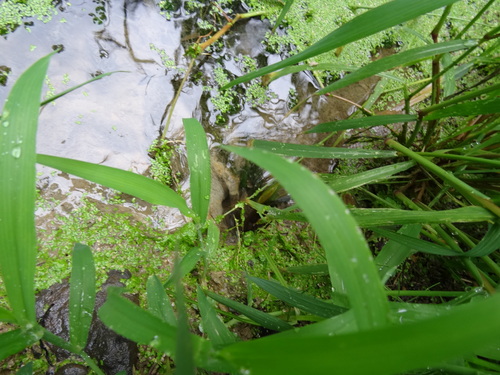 c0108460_16273448.jpg