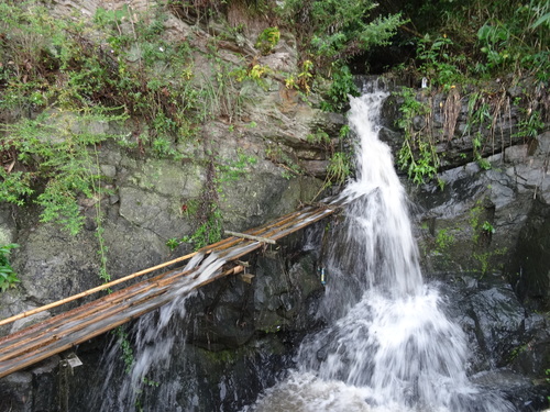 c0108460_1631160.jpg