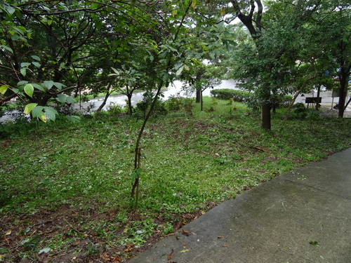 c0108460_16332483.jpg