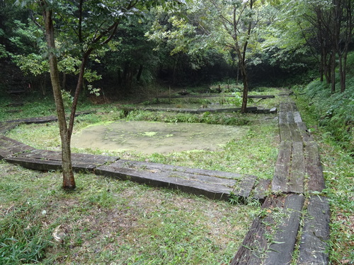 c0108460_16335429.jpg