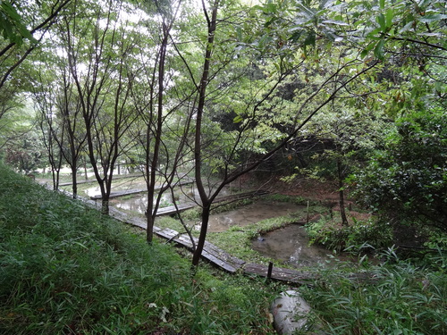 c0108460_16341768.jpg