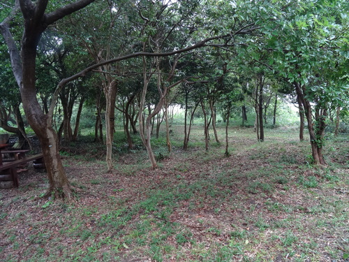 c0108460_1635394.jpg