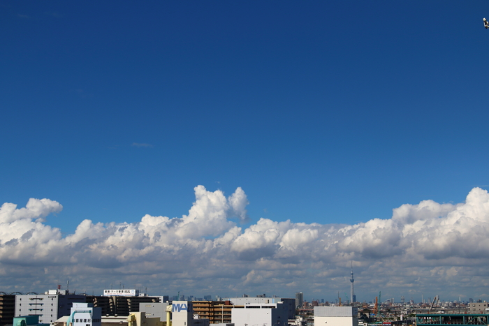 積乱雲が成長して。。。東京スカイツリー_d0152261_219232.jpg