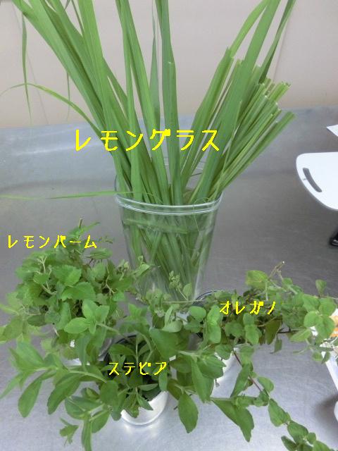 d0255763_17342995.jpg