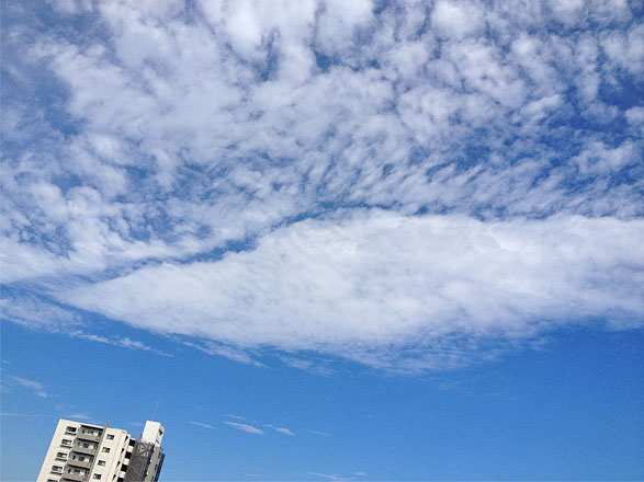 今日の空　２０１３年８月２６日（月）_e0036563_22471438.jpg