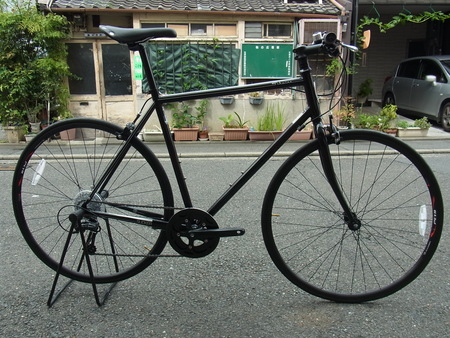 schwinn slicker