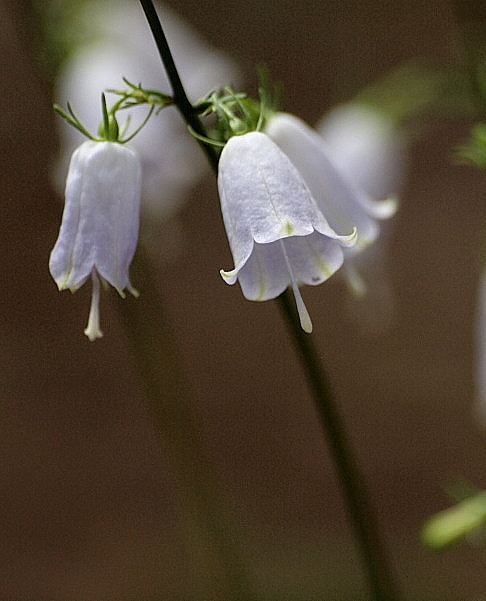 f0215964_941358.jpg