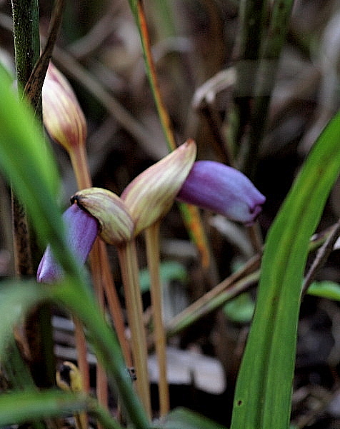 f0215964_941756.jpg