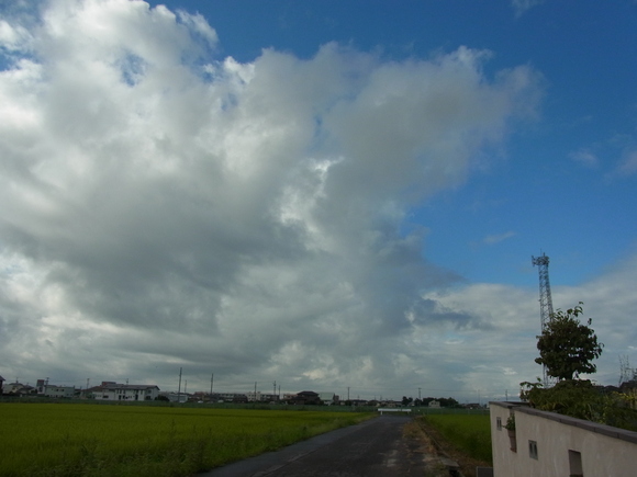 b0194267_10374918.jpg