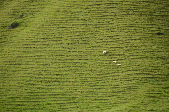 f0221369_23382880.jpg