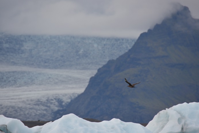 f0221369_23453476.jpg