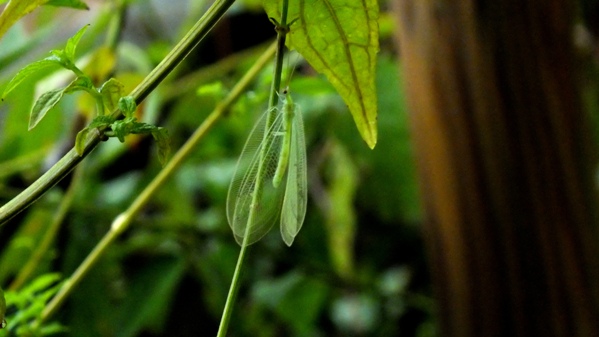 b0214473_11294339.jpg