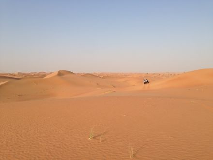 e0066474_13592677.jpg