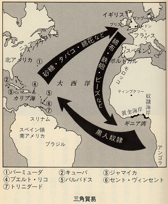 Amazon.co.jp: 砂糖の世界史 (岩波ジュニア新書) 電子書籍: 川北
