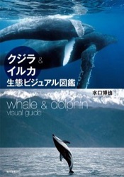 クジラ＆イルカ生態ビジュアル図鑑_d0188185_19522947.jpg