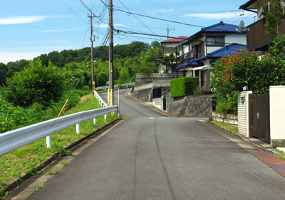 b0123486_2152072.jpg