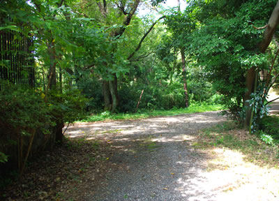 b0123486_22122097.jpg