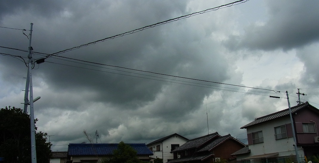a0152692_1835218.jpg