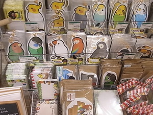 東急ハンズ梅田店で開催中、いんこっこのくに在庫状況_d0322493_17152935.jpg