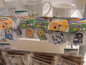 東急ハンズ梅田店で開催中、いんこっこのくに在庫状況_d0322493_17153447.jpg