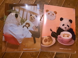 年越しパンダ展、大西亜由美さん雑貨新作。常設作品紹介_d0322493_17153891.jpg