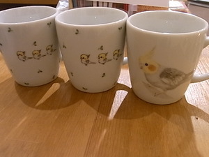 東急ハンズ梅田店「インコと鳥の雑貨展」在庫情報更新_d0322493_17155180.jpg
