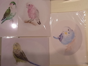 インコと鳥の雑貨展hatoyaさん作品登場です。週末は。。_d0322493_18153822.jpg
