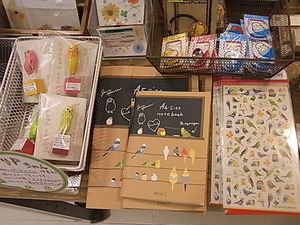 鳥とインコの雑貨展作品追加。セキセイ・ボタンミニ特集中。_d0322493_1815456.jpg