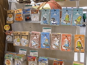 鳥とインコの雑貨展作品追加。セキセイ・ボタンミニ特集中。_d0322493_1815778.jpg